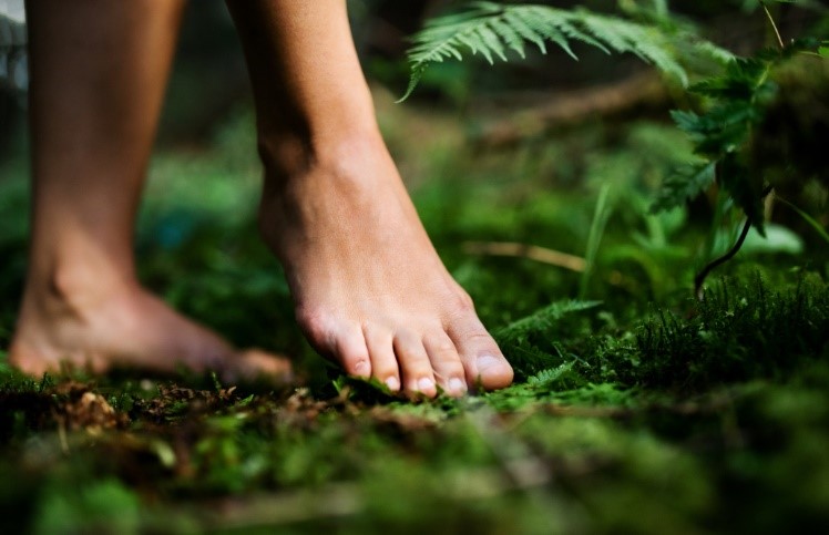 Earthing